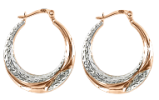 Goldohrringe 585