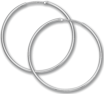 Silver earrings 