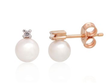 Gold classic studs earrings 