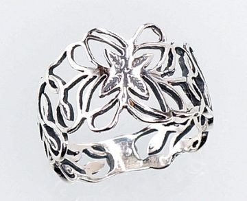 Silberring 