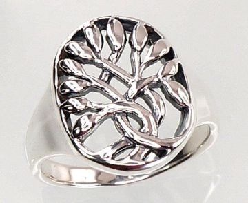 Silver ring 
