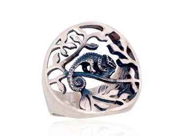 Silberring 