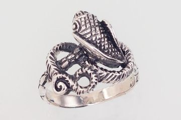 Silberring 