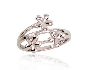 Silberring 