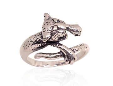 Silberring 