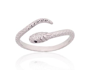 Silver ring 