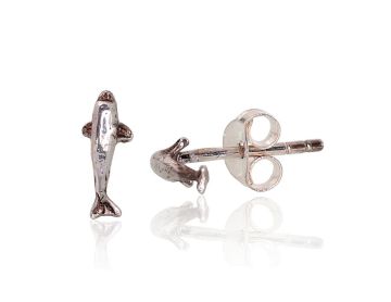 Silberne Ohrstecker 