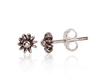 Silberne Ohrstecker 