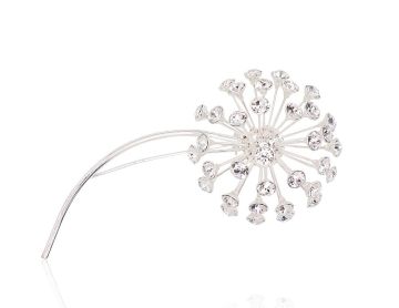 Silver brooch 