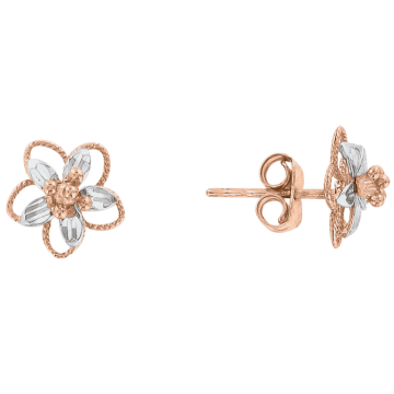 Infant earrings in red gold of 585 assay value 
