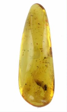 Amber with insect inclusion 