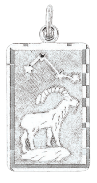 Silver zodiac sign "Capricorn" 