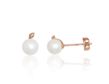 Gold classic studs earrings 