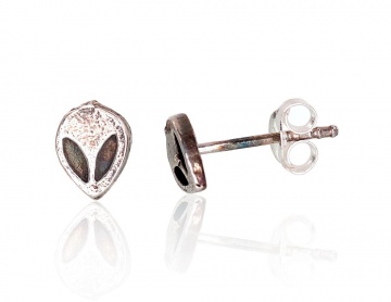 Silver stud earrings 