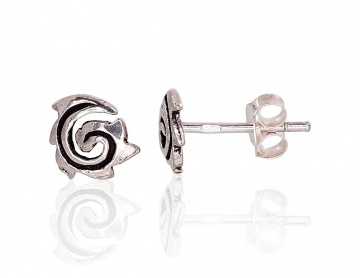 Silver stud earrings 