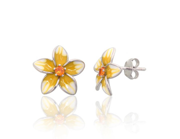 Silver stud earrings 