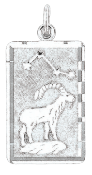 Серебряная подвеска 925 пробы, знак зодиака "Козерог" 