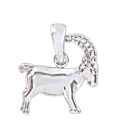 Silver zodiac sign "Capricorn" 