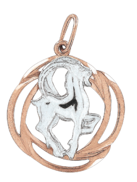 Anhänger Sternzeichen Steinbock aus Rot/ Weißgold 585° 