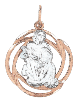 Anhänger Sternzeichen Wassermann aus Rot/ Weißgold 585° 