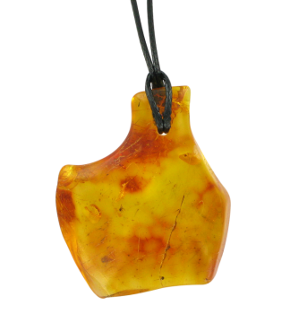 Echter Bernstein Anhänger 