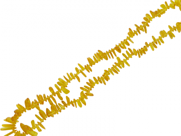 Echte Bernsteinketten 