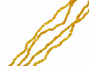 Echte Bernsteinketten 